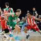 Naporen teden Cedevita Olimpija začenja proti Crveni zvezdi