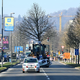 V Ljubljani preselili drevesa iz Linhartove v Šmartinski park
