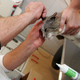 Veterinarski higieniki preklicali napovedano stavko
