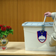 Referendumsko soočenje: Volilni sistem