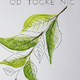 Tonja Jelen: Od točke nič