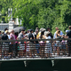 "Turisti, mrš!" - Ob rekordnem poletnem obisku Ljubljančani vse bolj siti turistov