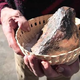 O največjem meteoritu v Sloveniji se je mogoče izobraziti na Meteoritkovi poti