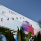 Festival v Cannesu še zaostruje modna pravila: na rdeči preprogi je golota prepovedana