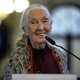 Jane Goodall
