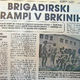 Delovne brigade so bile šola za življenje