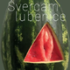 Ana Makuc: Švercam lubenice