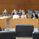 SD umika podporo predlogu zakona o psihoterapevtski dejavnosti