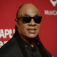 Stevie Wonder