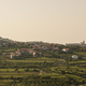 V Goriških brdih za petino več prenočitev, a si želijo, da bi turisti ostali dalj časa