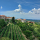 V Brdih iščejo trajnejšo rešitev za namakanje kmetijskih površin