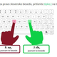 Najhitrejša slovenska beseda je kruh. Kaj pravzaprav to pomeni in koliko besed poznamo?