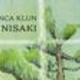 Nisaki, nepredvidljivo in bukovnik so morda besede tedna v literarnih oddajah