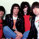 Pred pol stoletja je skupina The Ramones postregla z debitantskim albumom