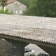 Mariborska občina s subvencijami za azbestne odpadke in male čistilne naprave