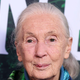 Zadnje besede Jane Goodall: "Trumpa in Muska bi poslala v vesolje"