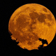 Avgustovska polna luna prinaša preboj za 3 znamenja