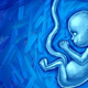 Ko bi le vedeli, da fetus v materinem telesu lahko misli, ljubi in izraža svoje mnenje