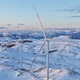 Nova energetska kriza utrjuje vlogo obnovljivih virov