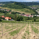 Šok v mariborskem vinogradu: "Tu se ponoči marsikaj dogaja"