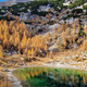 Od Savice do Ledvice med zlate macesne #foto #video