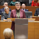 "SDS ne zamudi nobene priložnosti, da ne bi skušala strašiti"