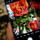 Xiaomi 14 Ultra: vrhunski fotoaparat v odličnem pametnem telefonu
