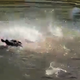 Reka, v kateri ne bi plavali niti za milijon evrov #video