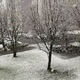 Meteorologinja razkrila, kaj nas čaka konec tedna #video