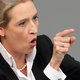 Prepoved AfD: to bi bili zmagovalci