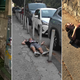 Šokantni prizori s hrvaške obale: Ležijo kot mrtveci. Brez besed smo.