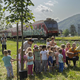 Sončnice ob progah tudi v Bohinju, Celju in Laškem