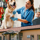 Kateri veterinarji so lani zaslužili največ?