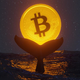 Po 14 letih prodal vse svoje bitcoine. Poglejte, koliko milijard je zaslužil.