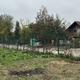 Vlada pri romskih vprašanjih poudarja pomen integracije Romov