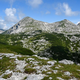 Pravljična pešpot z razgledi in planikami #video