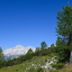 Lepi dnevi za jurčke in vrhunski pogled na Triglav #video
