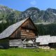 Idilične Fužinske planine in razgledni Ogradi na krožni turi #video