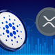 Kje bosta XRP (Ripple) in Cardano (ADA) čez 5 let? Zakaj bi lahko žeton XYZ oba presegel še letos