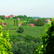 Wine&Walk: pristni užitki Medžimurja tudi v enem dnevu