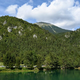 Na kralja Kravank samo pogumno kar iz doline #video
