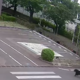 Razglasili izredne razmere: medved stekel v tovarno, poškodoval štiri ljudi, še vedno ga lovijo #video