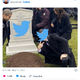 Izbris osebnih podatkov s Twitterja praktično nemogoč
