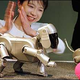 Sony pokopal Aiba