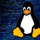 Izšlo novo jedro Linux 6.14