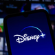 Osumljenec za krajo terabajta podatkov iz Disneyja priznal krivdo