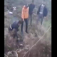 VIDEO: Krut posnetek! Halo policija, ujemite te divjake