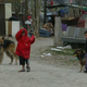 Ko so ljudje in psi lahko nevarni Slovencem, policija te problematike ne zanika