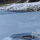 Bojan skočil v zaledenelo jezero in rešil psa (FOTO)