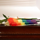 Brutalne globe za homoseksualne odnose: do 15 let zapora jih čaka